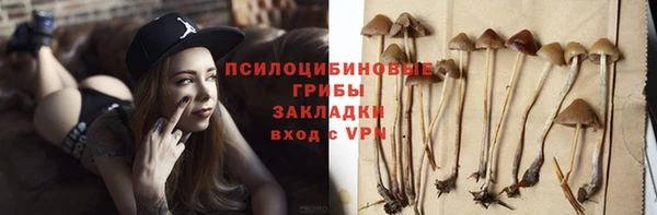 трава Горно-Алтайск