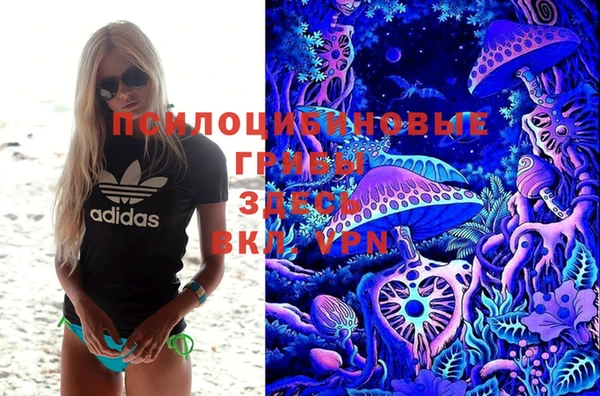 трава Горно-Алтайск