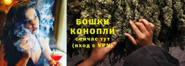 трава Горно-Алтайск