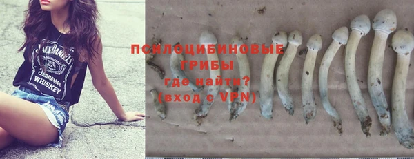 mix Вяземский