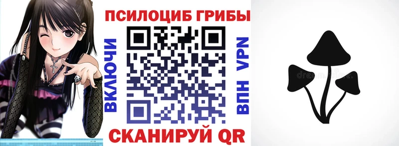 Купить закладки  Куртамыш  Галлюциногенные грибы ЛСД 
