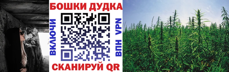 Купить где  Куртамыш  Канабис MAZAR 